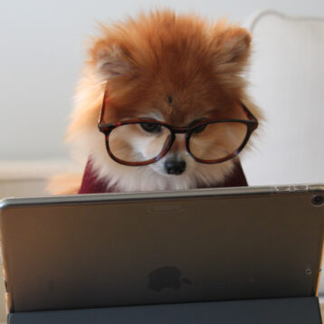 conseiller numérique mise en avant